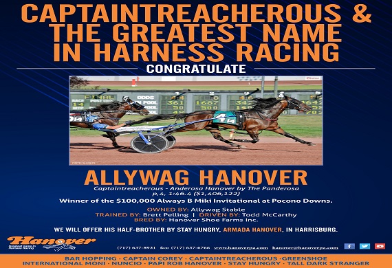 Allywag Hanover